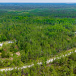 Property photo for land for sale in Lafayette County Florida