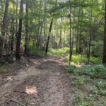 Property photo for land for sale in Lincoln County Mississippi