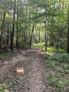 Property photo for land for sale in Lincoln County Mississippi