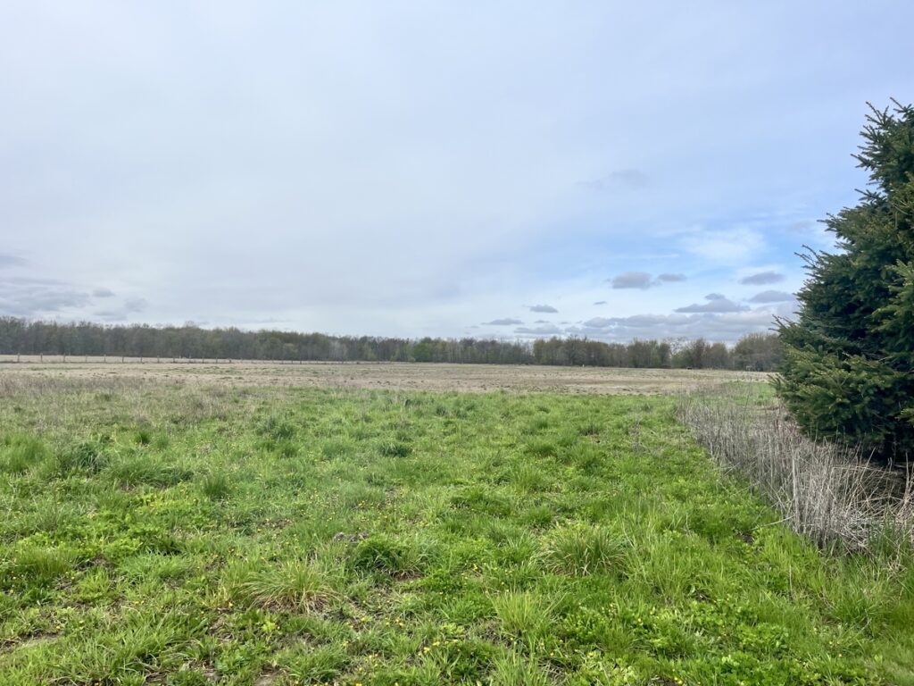 Property photo for land for sale in  County Canada