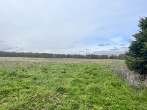Property photo for land for sale in  County Canada