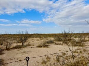 Property photo for land for sale in Pecos County Texas