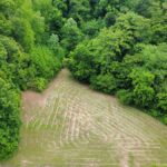 Property photo for land for sale in Maury County Tennessee