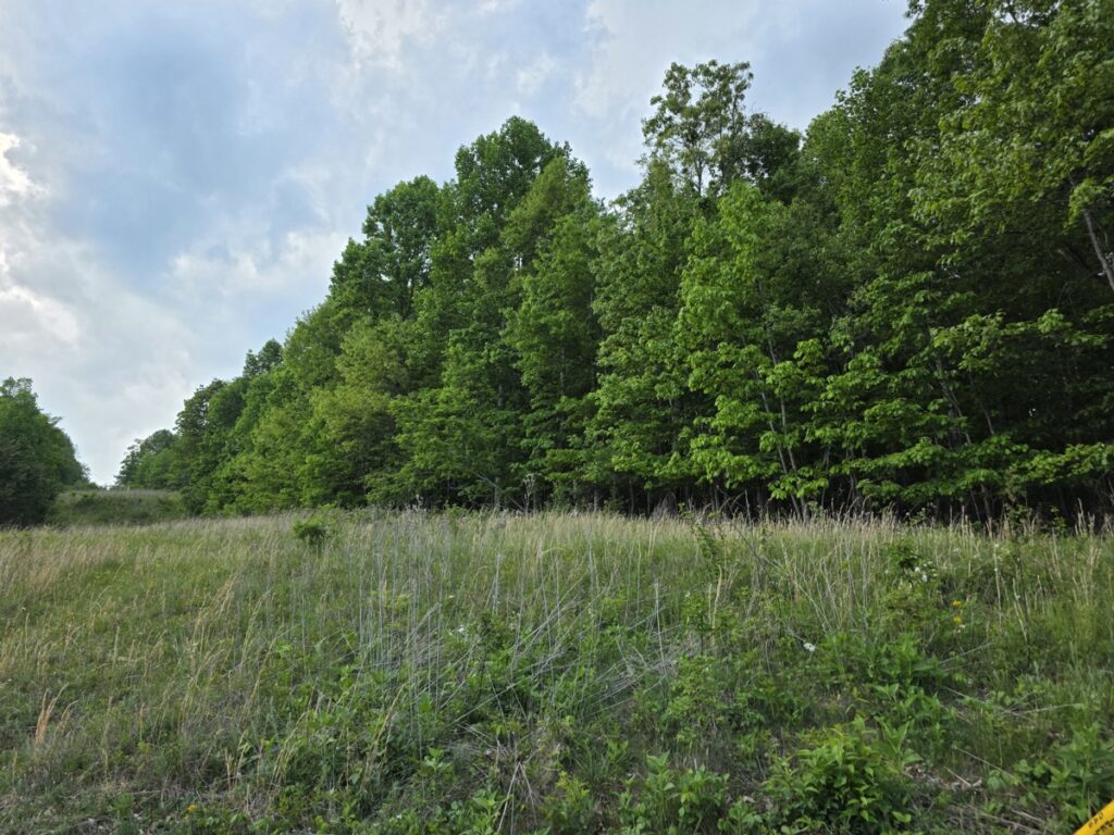 60d5a31c-7fd2-4f8a-9732-e30f18a0d43e.jpg