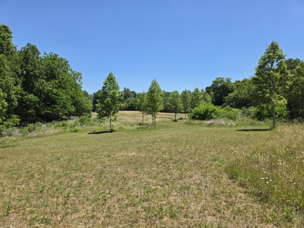 Property photo for land for sale in Stokes County North Carolina
