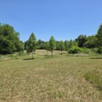 Property photo for land for sale in Stokes County North Carolina