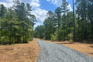 Property photo for land for sale in Harrison County Texas