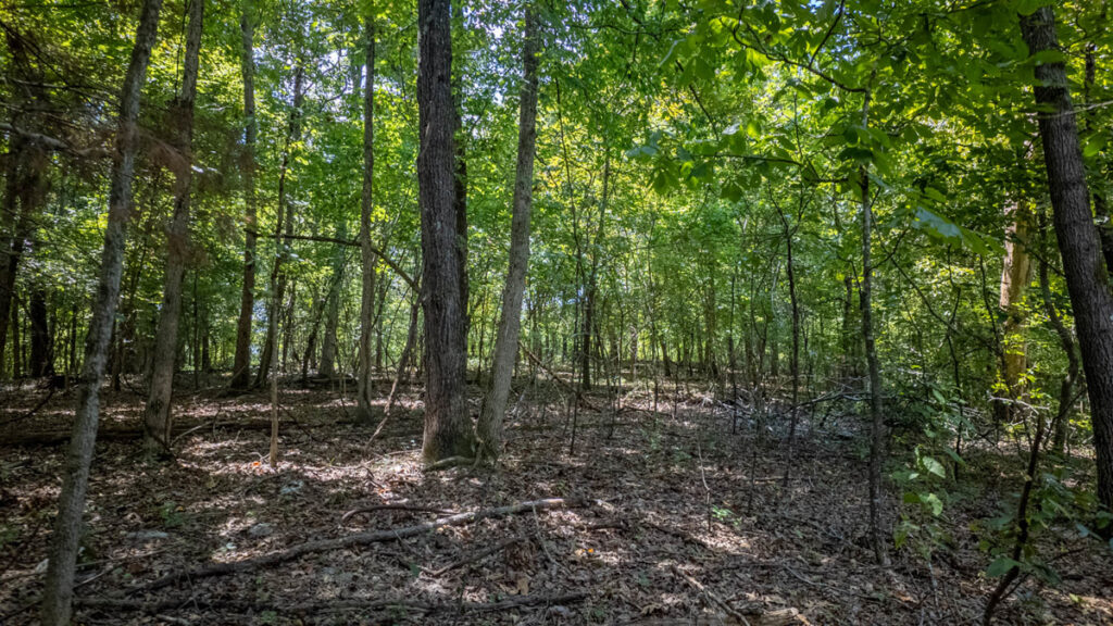 64a0ba10-9c7d-4bd2-88e4-eab88f245533.jpg