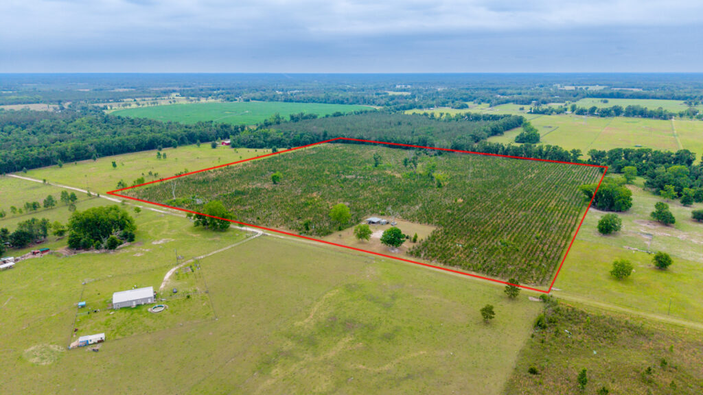650bad1b-ffef-4237-bd21-9611925f089b.jpg