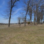 Property photo for land for sale in Columbia County Wisconsin