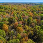 Property photo for land for sale in Ozark County Missouri