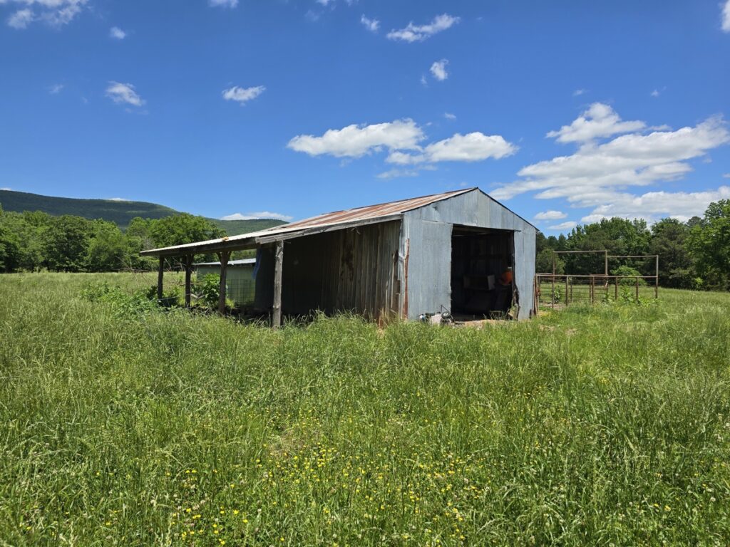 6639d10e-9ac0-4883-896e-31c55439a6db.jpg