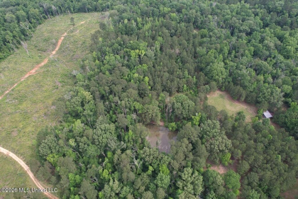 Property photo for land for sale in Amite County Mississippi
