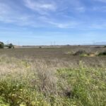 Property photo for land for sale in Solano County California