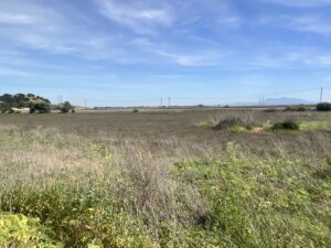 Property photo for land for sale in Solano County California