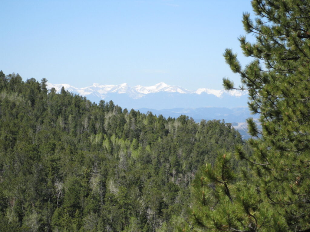 Property photo for land for sale in Teller County Colorado