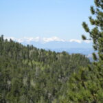 Property photo for land for sale in Teller County Colorado