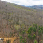 Property photo for land for sale in Floyd County Virginia