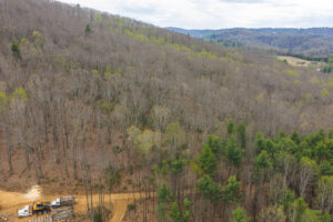 Property photo for land for sale in Floyd County Virginia