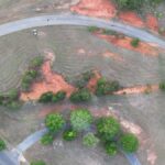 Property photo for land for sale in Pike County Alabama