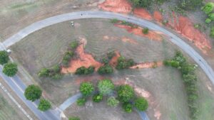 Property photo for land for sale in Pike County Alabama