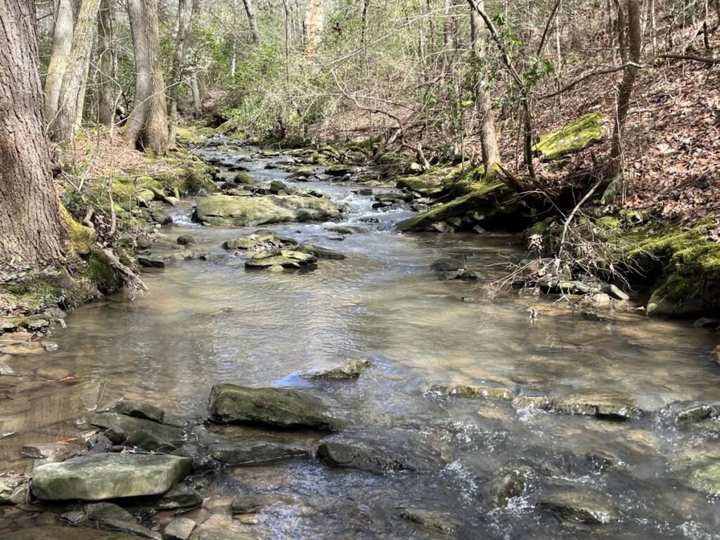 Property photo for land for sale in Marion County Tennessee