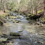Property photo for land for sale in Marion County Tennessee