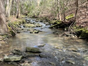 Property photo for land for sale in Marion County Tennessee