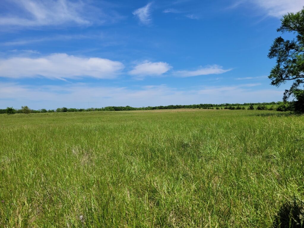 6cf09ff3-d731-46f1-95d7-6851cb29ef0b.jpg