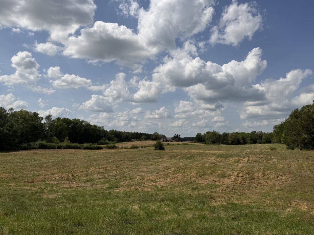 6d060898-7193-4dc4-83b9-33814b4e273f.jpg