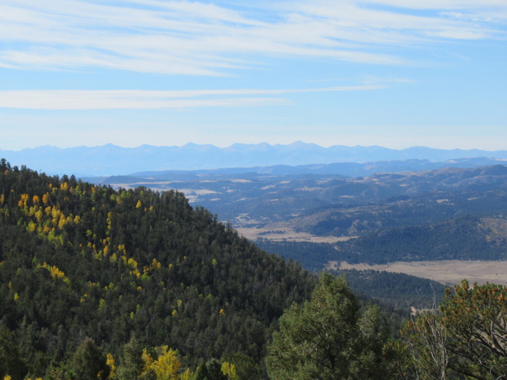 6d38988c-e0f1-4d9d-9284-1d3468e5778f.jpg