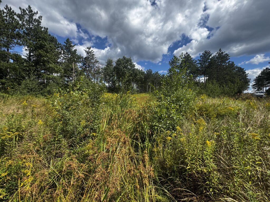 6e292168-4ffb-4d6e-aaef-f63566e1a153.jpg