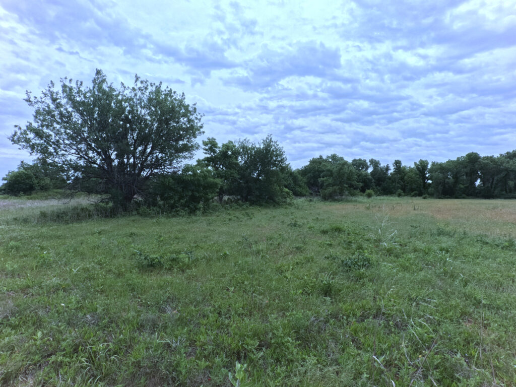 6e72c086-7522-4052-97fe-b1c0da7c946f.jpg