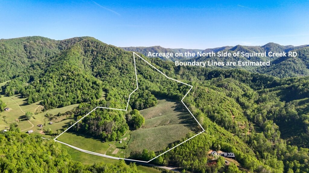 Property photo for land for sale in Patrick County Virginia