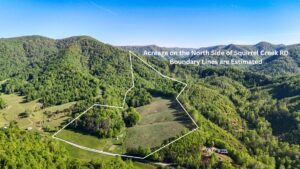 Property photo for land for sale in Patrick County Virginia