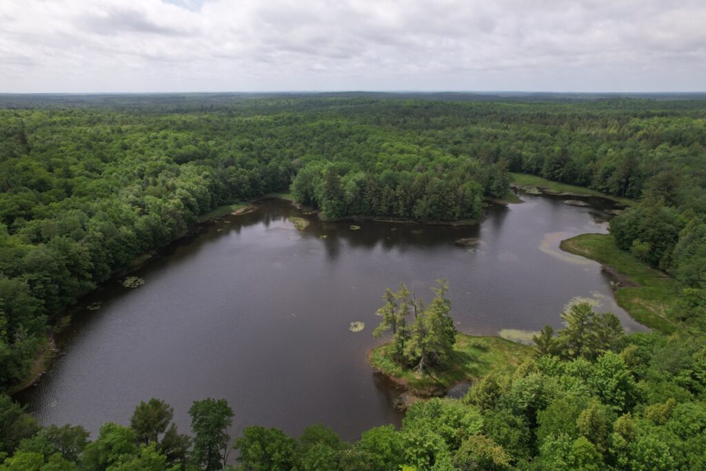 Property photo for land for sale in Ashland County Wisconsin
