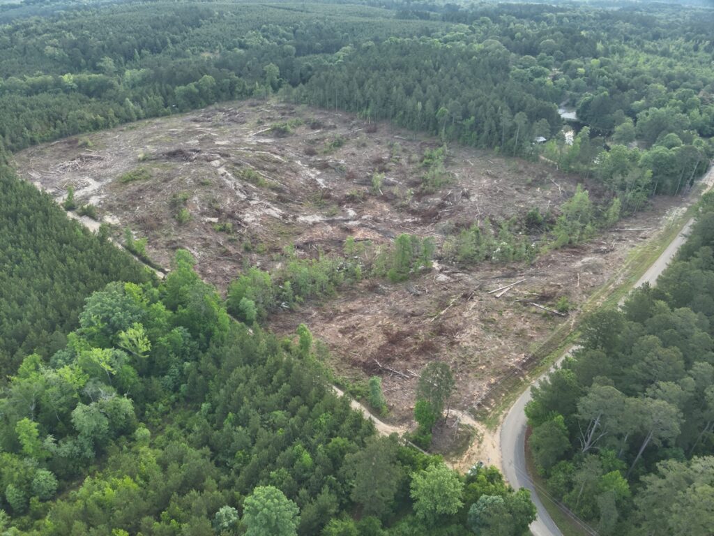 Property photo for land for sale in Ouachita County Arkansas