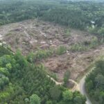 Property photo for land for sale in Ouachita County Arkansas