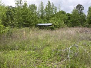 Property photo for land for sale in Scott County Arkansas