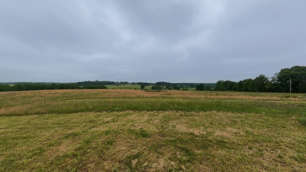 73280c94-d0f9-407a-a391-1500460f75c0.jpg