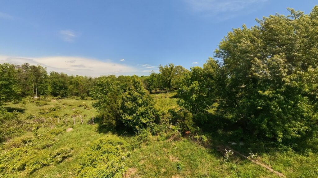 74d6aab2-b302-4738-9852-e7c0e8b8217d.jpg