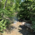 Property photo for land for sale in Decatur County Tennessee
