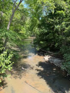 Property photo for land for sale in Decatur County Tennessee
