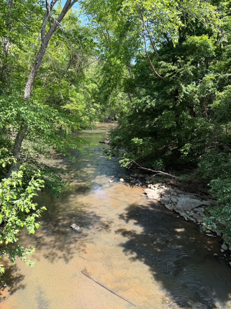 Property photo for land for sale in Decatur County Tennessee