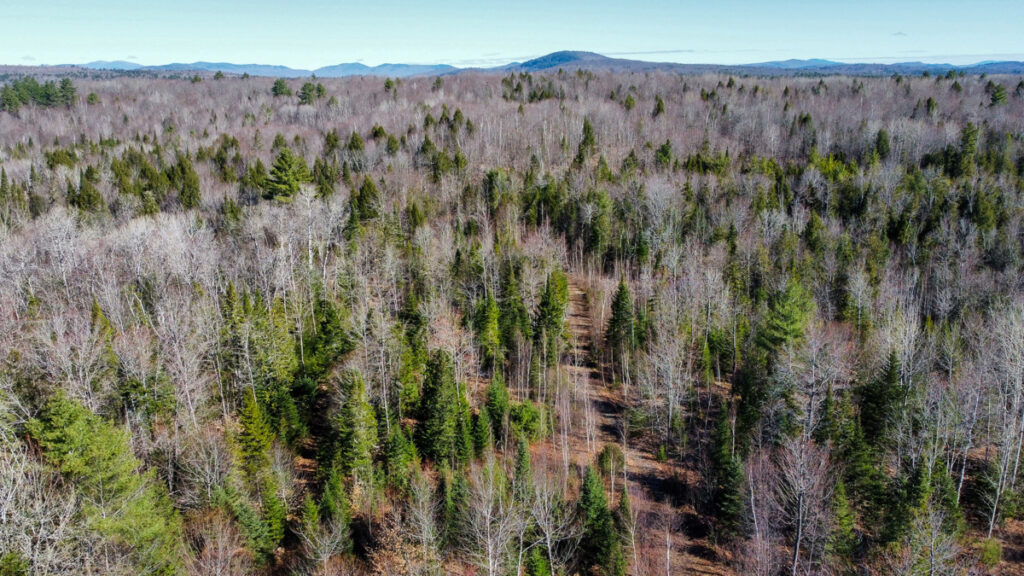 Property photo for land for sale in Somerset County Maine