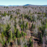 Property photo for land for sale in Somerset County Maine
