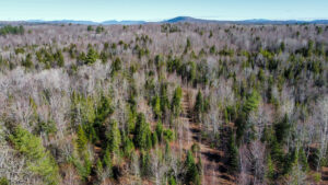 Property photo for land for sale in Somerset County Maine