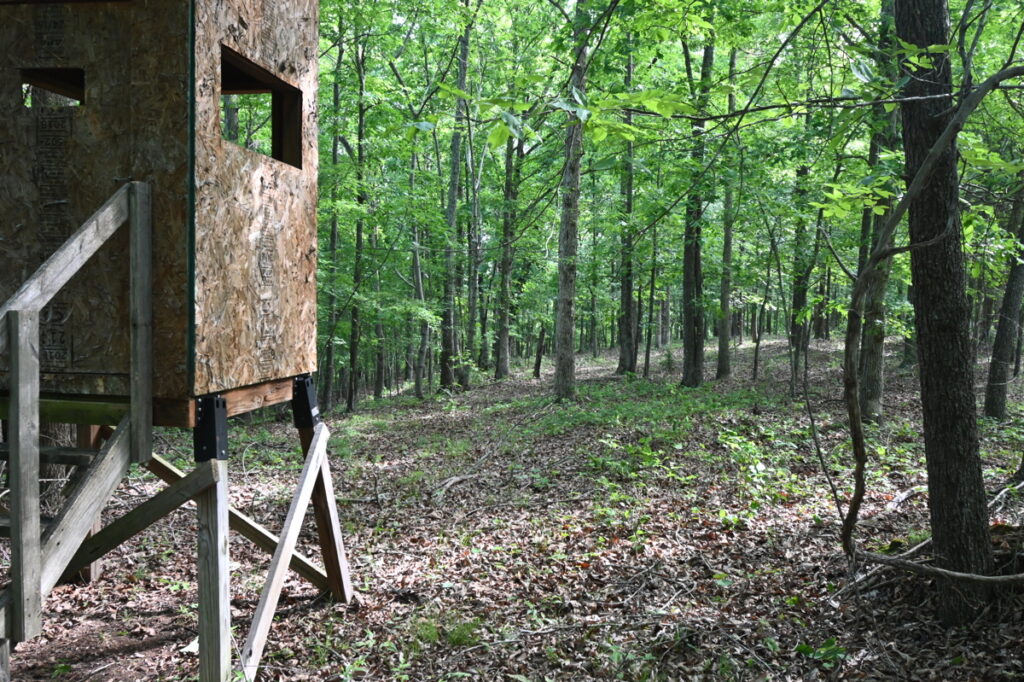 Property photo for land for sale in Perry County Tennessee