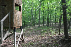 Property photo for land for sale in Perry County Tennessee