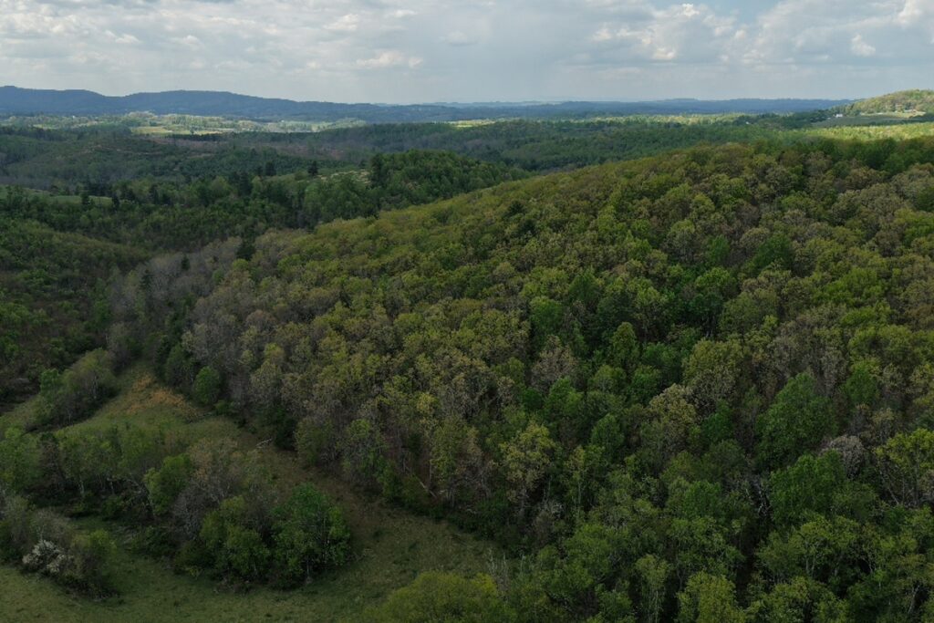 Property photo for land for sale in Floyd County Virginia